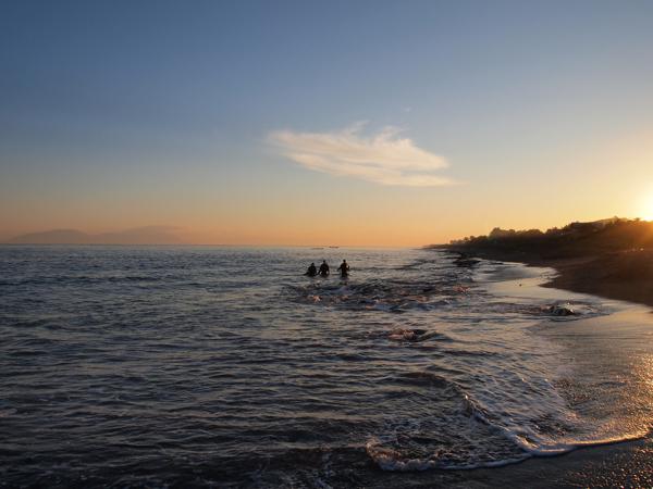 My last dive in Timor-Leste. Early morning dive with my buddies in Tasi-Tolu.