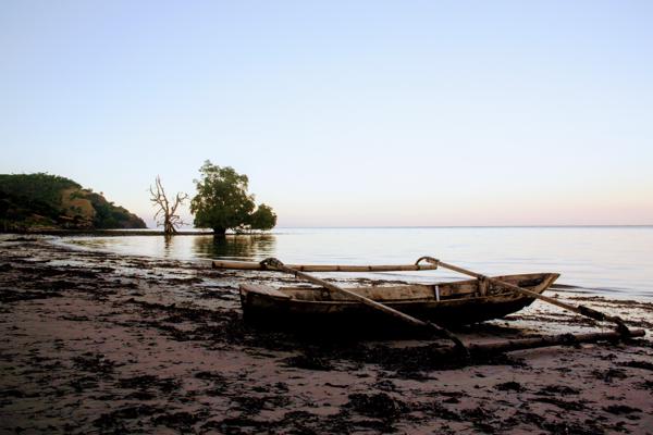 one night, or evening, walking north of our place in Atauro.