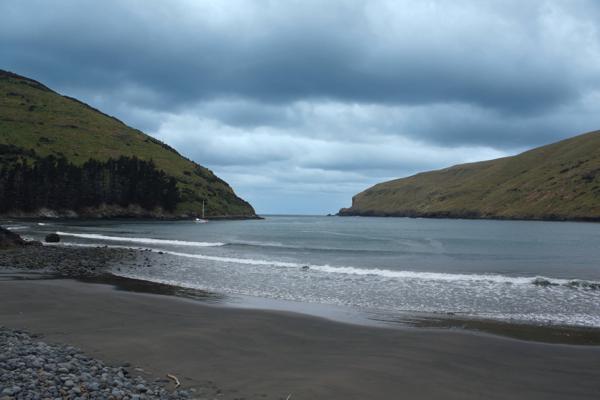 looking into the Pacific, Long Bay, a trip to New Zealand.