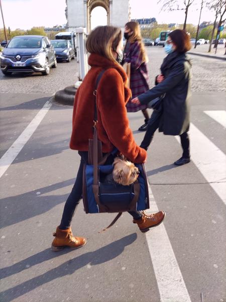 Crossing the street I captured this lady carrying her dog.